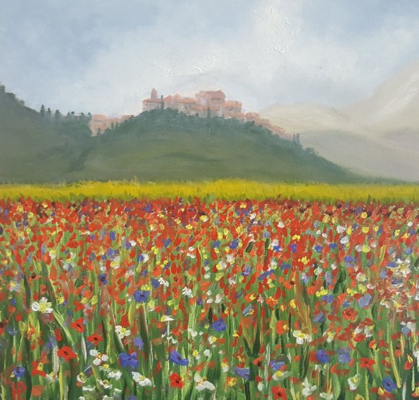 Castelliccio Poppies near Umbria