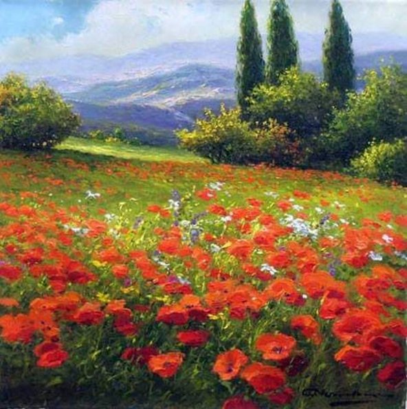 Poppy Fields in Tuscany
